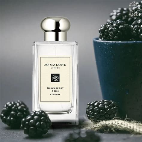 blackberry tonic perfume dupe for|The Ultimate Guide To The Best Blackberry Perfumes.